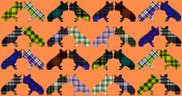 Tartans Frenchies 2   Animal painting, wildlife painter.Dogs, bears, elephants, bulls on canvas for art and decoration by Thierry Bisch 